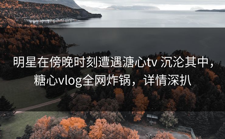 明星在傍晚时刻遭遇溏心tv 沉沦其中，糖心vlog全网炸锅，详情深扒