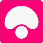 蘑菇影视正版内容聚合与资源站